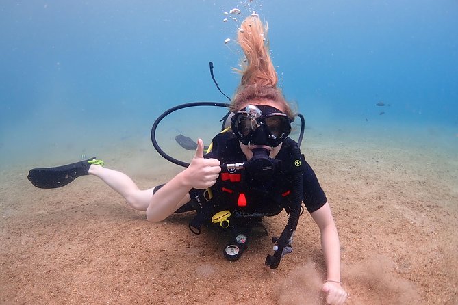 Introductory dive for non-certified divers - Is $226.49 a fair price?