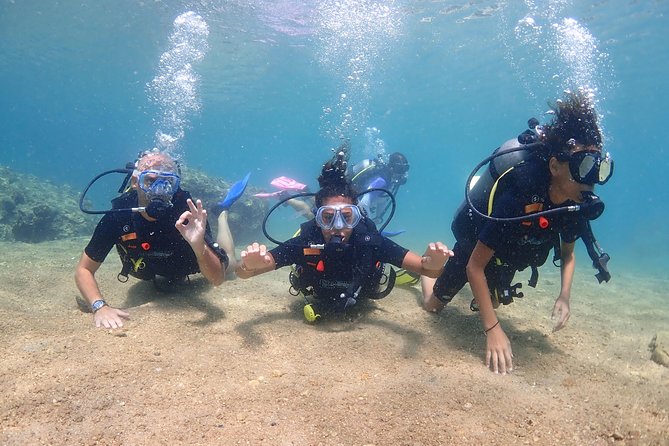Introductory dive for non-certified divers - Learning the basics before entering open water