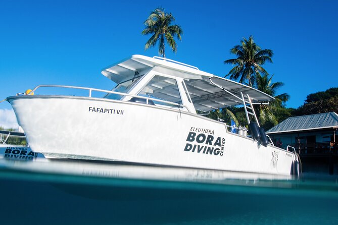 Introductory Dive in Bora Bora (afternoon) - Why the instructors matter more than the scenery