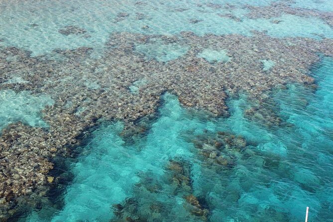 Introductory Dive in Eilat - Thirty minutes among Eilat’s coral and fish