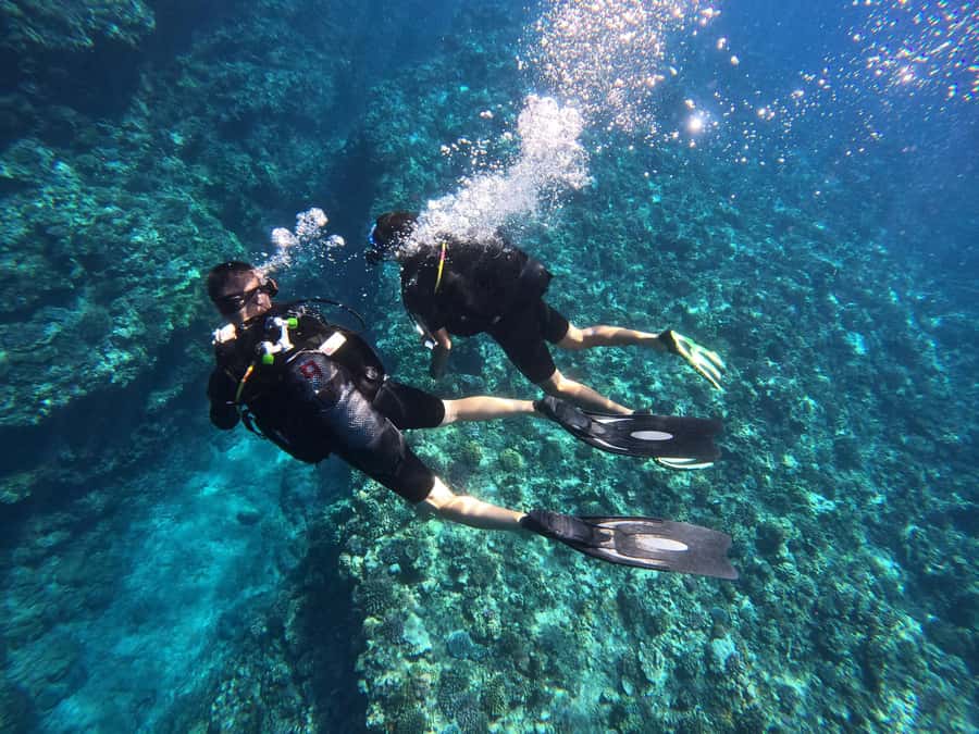 Introductory dive, to get started! - Getting ready with the instructor
