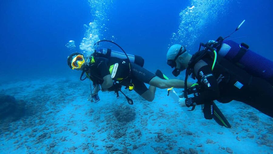 Introductory dive, to get started! - Should you book this St Leu experience?