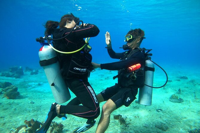 Introductory Diving Class in the Cozumel Reefs - Why this Cozumel class suits first-time scuba participants