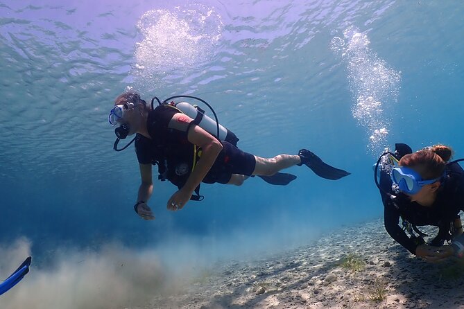 Introductory diving in small groups - What your three hours at Green Bay look like
