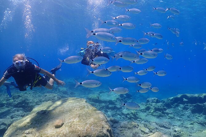Introductory diving in small groups - What the $96 price includes