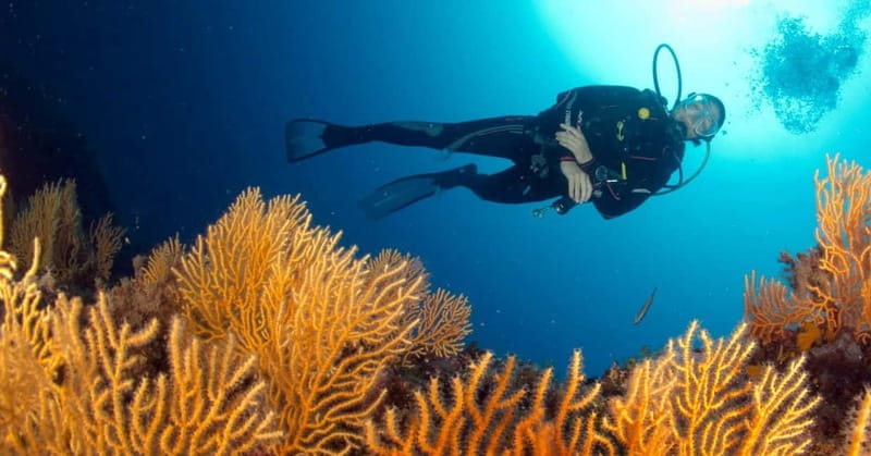 Introductory scuba diving - Who will get the most from this outing