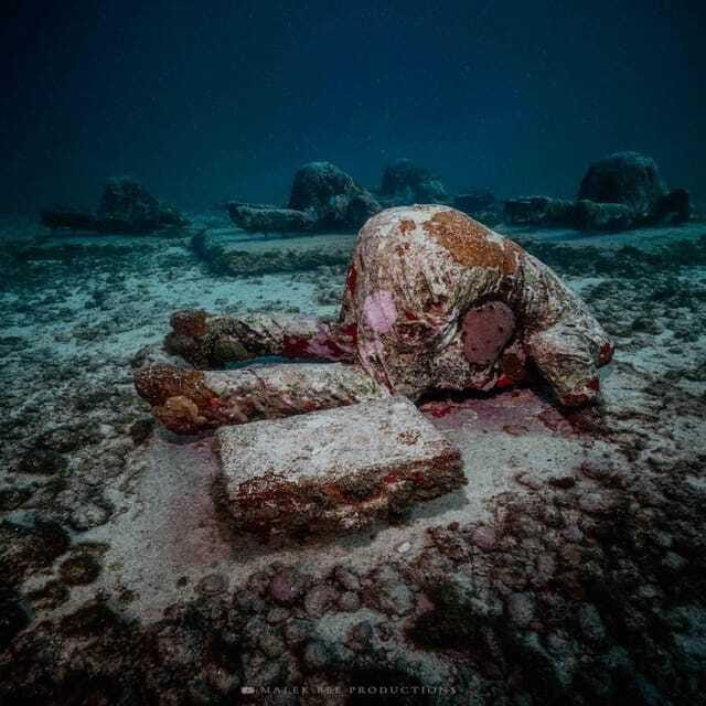 Isla Mujeres: MUSA and the Manchones Reef: 2 Tank Dive Tour - Booking flexibility and small practical details