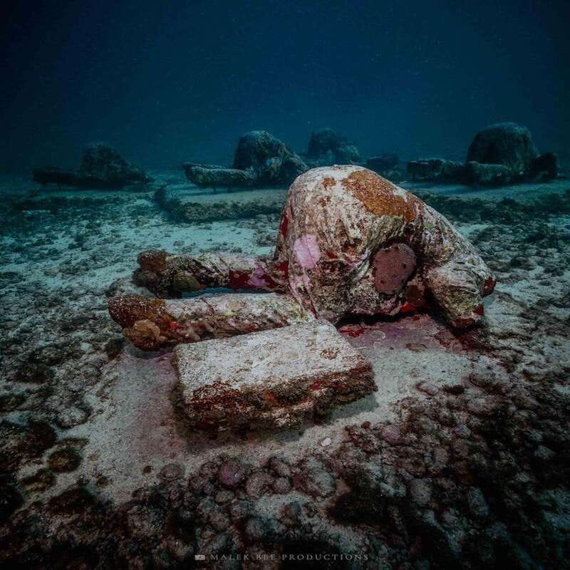 Isla Mujeres: MUSA and the Manchones Reef: 2 Tank Dive Tour - Why MUSA is more than an underwater photo stop