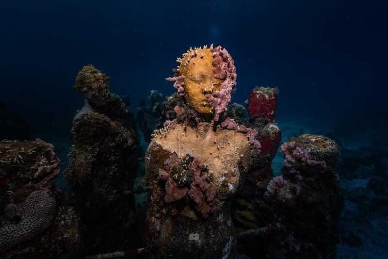 Isla Mujeres: MUSA and the Manchones Reef: 2 Tank Dive Tour - The 30-minute break between the two sites