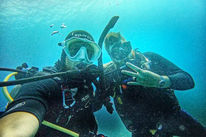 Island Wreck and Reef Scuba Excursion - The second underwater stop: reef life and open water