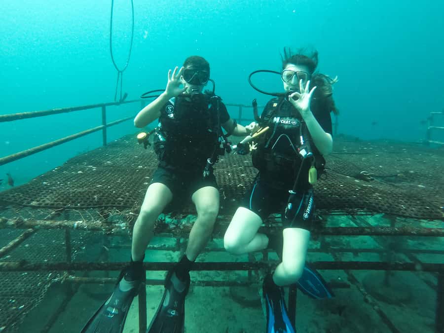 Jeddah: Red sea shore diving (Discovery) - Key points to know before booking