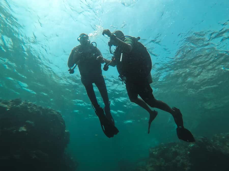 Jeddah: Red sea shore diving (Discovery) - Blue Reef and the 30 to 45-minute underwater session