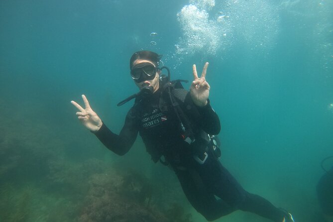 Jeju Island, Seongsan Ilchulbong, Discover Scuba Diving - Who will enjoy this most?