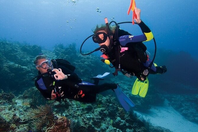 Join our Daily Diving Trip with 2 dives Transfer & Lunch-Hurghada - Safety, instruction, and the pace of the group