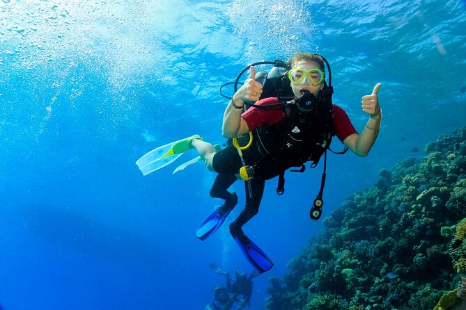 Join our Daily Diving Trip with 2 dives Transfer & Lunch-Hurghada - Hotel pickup at 8:00 a.m.