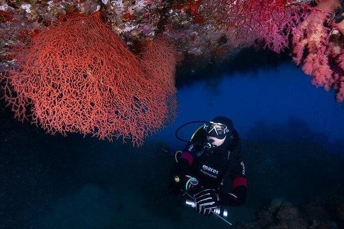 Journey of Diving or Snorkelling from a Boat - Starting at Ayla Marina around 9 am