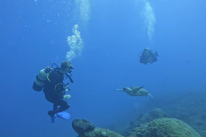 Jubilee Shoals guided boat dives - What the Boat Trip Adds