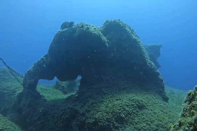 Jubilee Shoals guided boat dives - Coral, Turtles, and Fish Around Jubilee Shoals