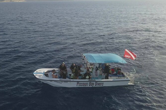 Jubilee Shoals guided boat dives - How the Two Sessions Shape the Morning