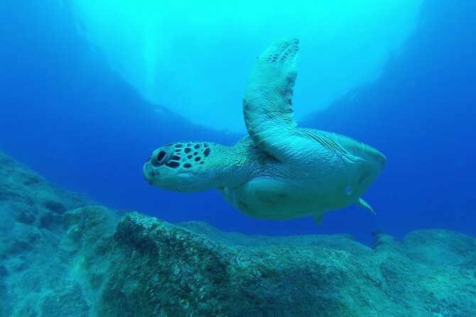 Jubilee Shoals guided boat dives - A Small Group Can Make a Big Difference
