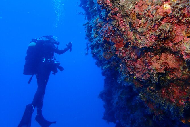 Jubilee Shoals guided boat dives - Is $192.66 a Fair Price?
