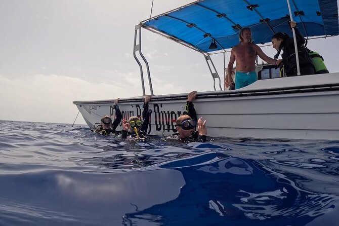 Jubilee Shoals guided boat dives - Weather, Fitness, and Booking Timing