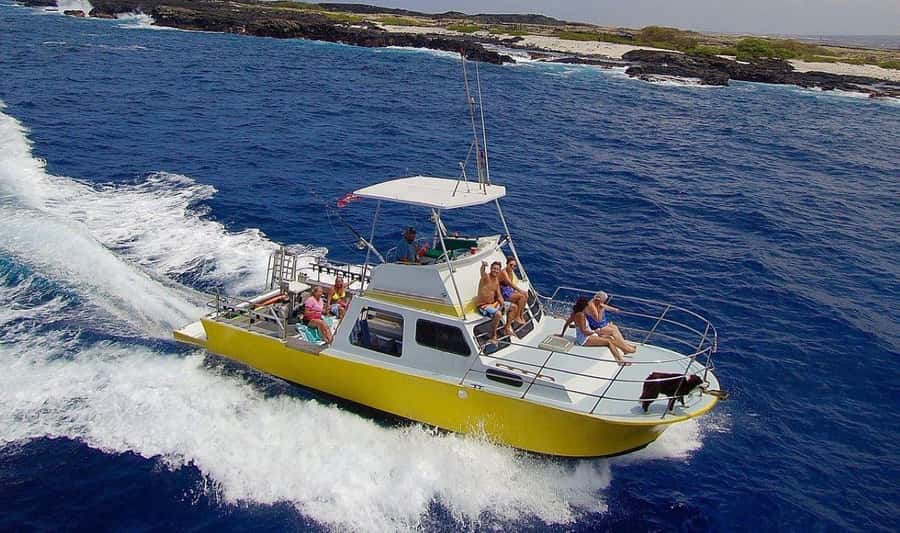Kailua-Kona: Night Manta Snorkel or Dive - Key points to know before you book