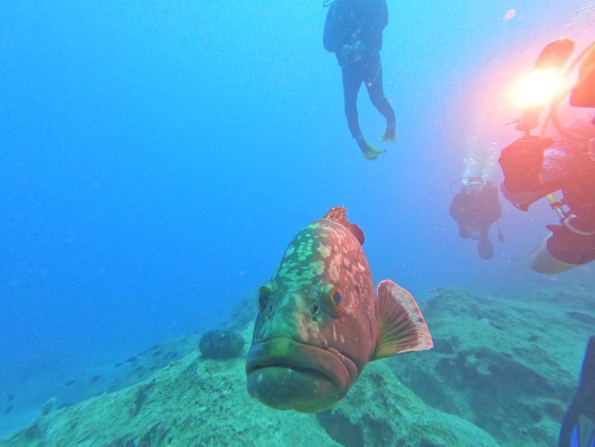 Kas: Scuba Diving Experience - Who should book this Kas outing?