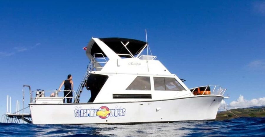 Kauai: 2 Tank Afternoon Dive - Key points to know before you book
