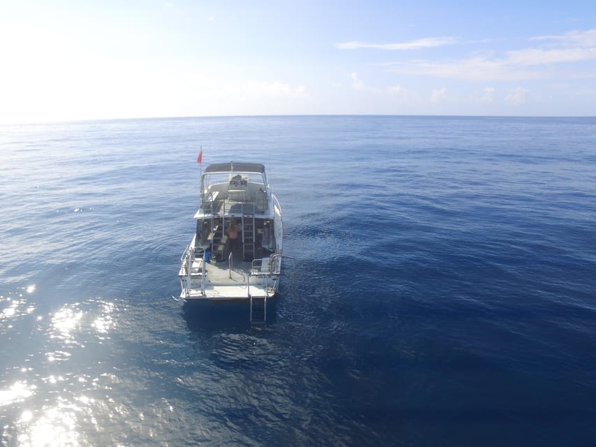 Kauai: Morning 2 Tank Boat Dive for Experienced Divers - Equipment, extra costs, and the $259 price