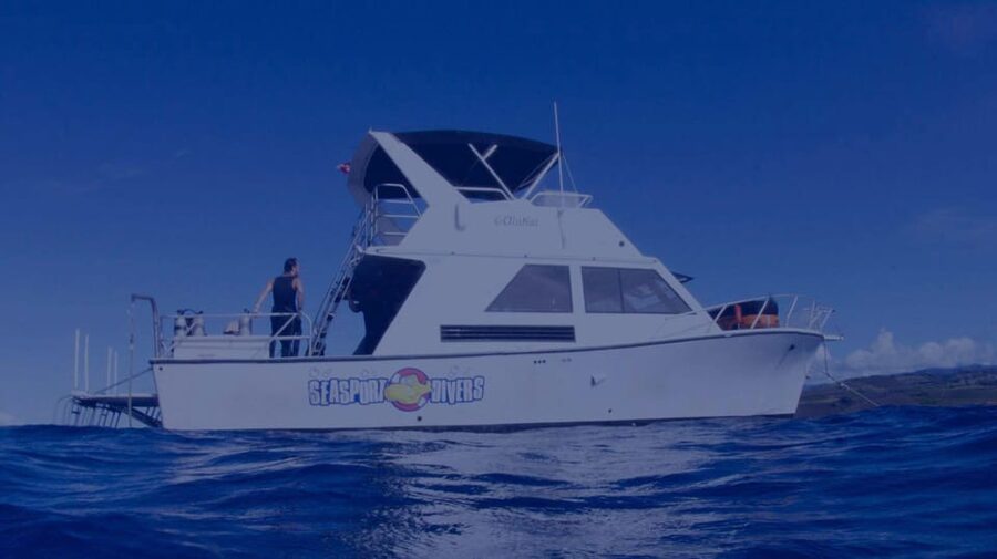 Kauai: Morning 2 Tank Boat Dive for Experienced Divers - Timing, comfort, and the return to Poipu
