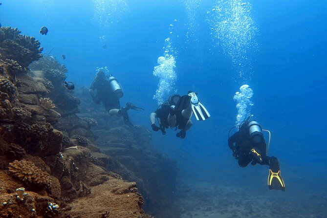 Kauai's Exclusive Morning Scuba Charter for Experienced Divers - Lava tubes, sea turtles, and Sheraton Caverns