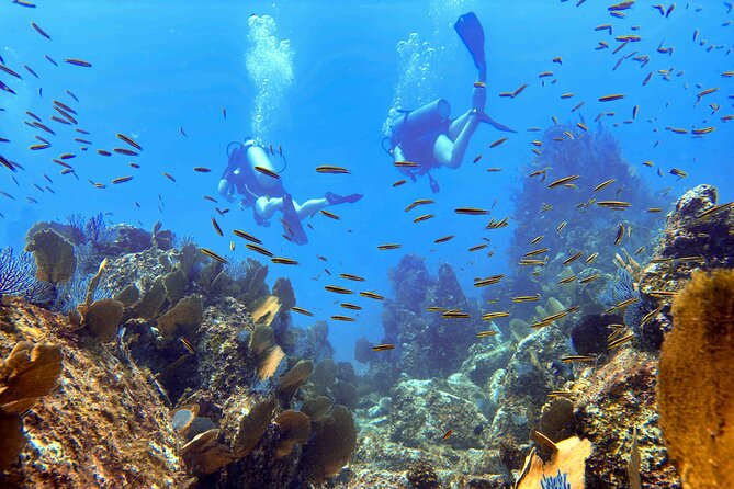 Kauai's Exclusive Morning Scuba Charter for Experienced Divers - Spouting Horn and the south shore setting