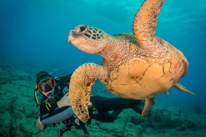Kauai's Ultimate Discover Scuba Dive - OCEAN EXPERIENCE (1 Tank Dive) - What this Kauai scuba experience really offers
