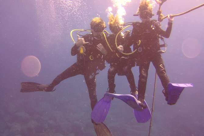 Kauai's Ultimate Discover Scuba Dive - OCEAN EXPERIENCE (1 Tank Dive) - Is $186.13 a fair price?