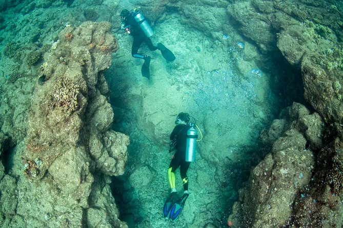 Kauai's Ultimate Dive Boat Adventure (for CERTIFIED Divers Only) - Two reef sites, two chances to see Kauai underwater