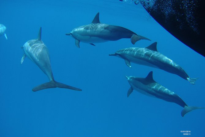 Kauai's Ultimate Dive Boat Adventure (for CERTIFIED Divers Only) - Crew names and the onboard teaching