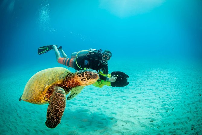 Kauai's Ultimate Scooter Adventure 2 Tank Dive (Advance Certified Divers Only) - Koloa Landing and the shore-based start
