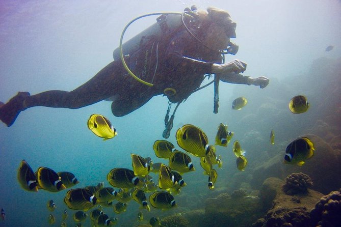 Kauai's Ultimate South Shore 2 Tank Dive (Certified Divers Only) - How the guides shape the experience