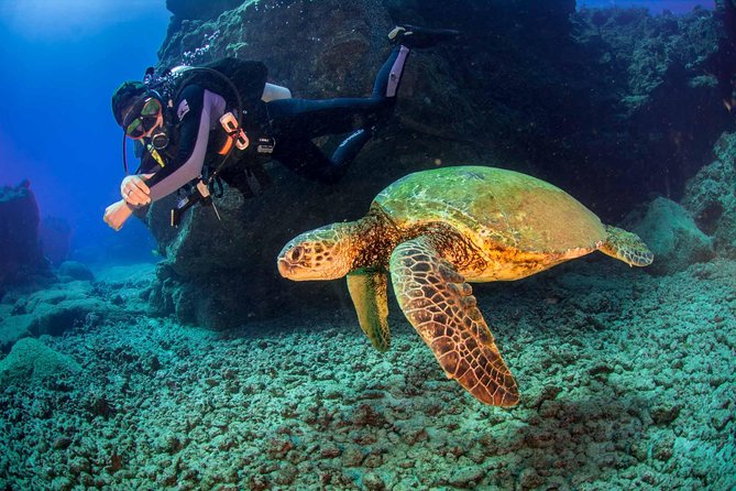 Kauai's Ultimate South Shore 2 Tank Dive (Certified Divers Only) - Who will enjoy this most