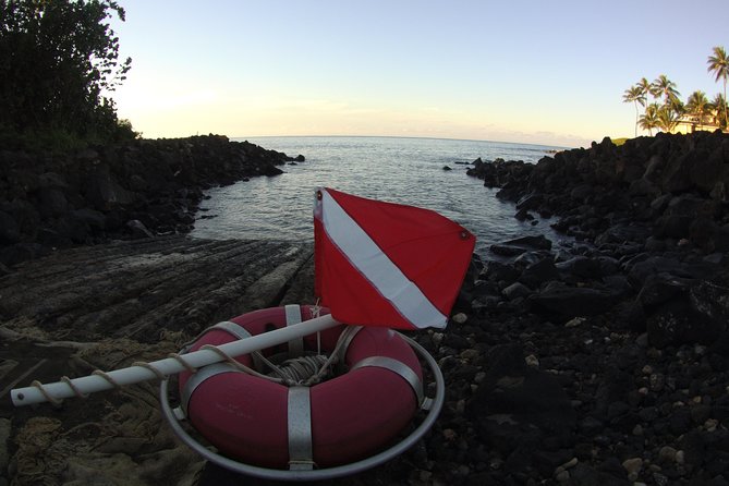 Kauai's Ultimate South Shore 2 Tank Dive (Certified Divers Only) - Should you book this Kauai scuba outing?