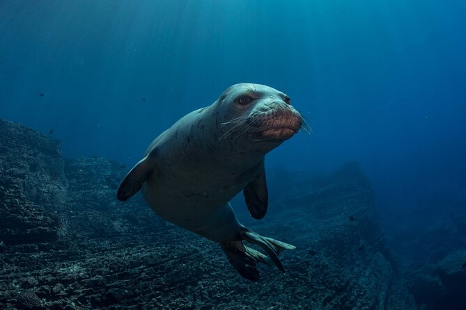 Kauai Scuba Diving for Beginners - Medical Forms and the 18-Hour Rule