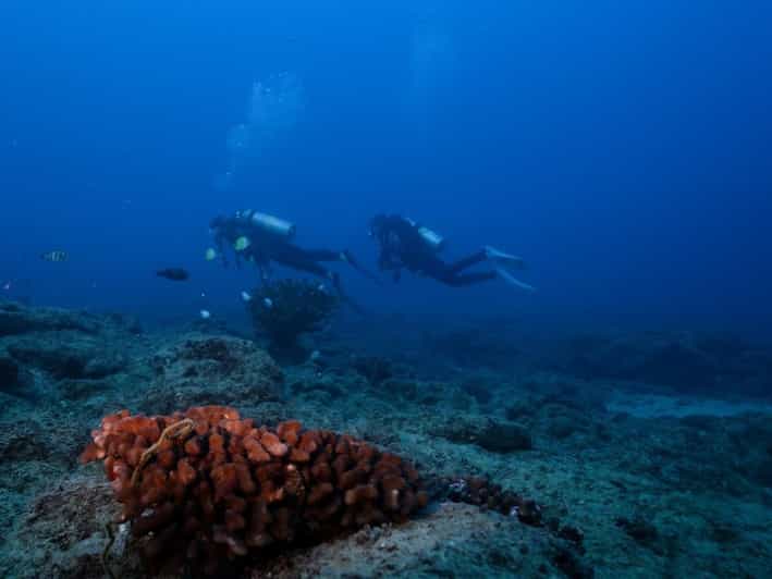 Kauai: Shore Diving at Koloa Landing, Poipu - Timing, gear, and rules that affect your day