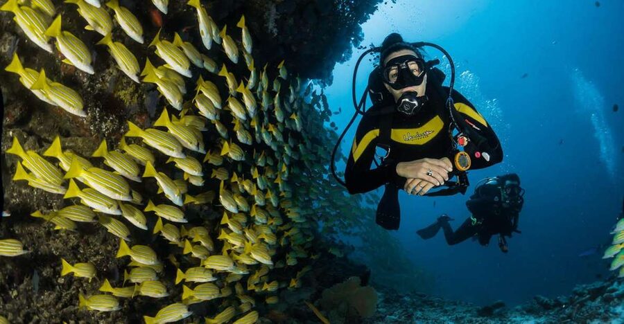 Kefalonia: Beginner Scuba Diving at Agia Efimia Village - Key points to know before booking