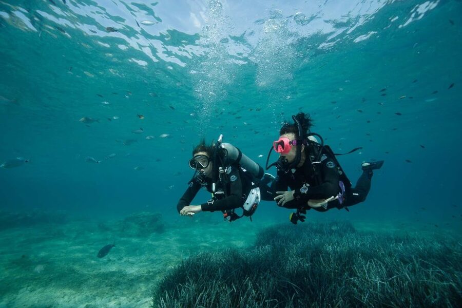Kefalonia: Beginner Scuba Diving at Agia Efimia Village - Starting at Agia Efimia with the basics