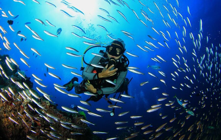 Kefalonia: Beginner Scuba Diving at Agia Efimia Village - Your first underwater session