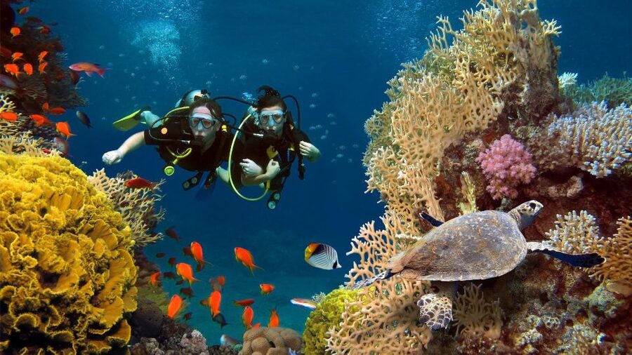 Kefalonia: Beginner Scuba Diving at Agia Efimia Village - What the $141 price really covers