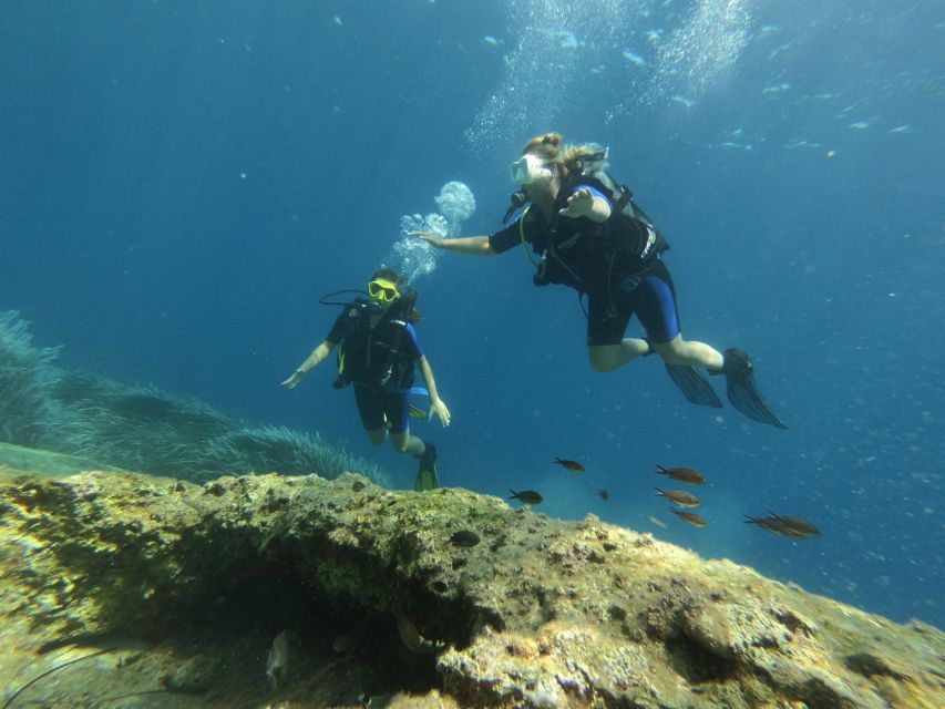 Kefalonia: Beginner Scuba Diving at Agia Efimia Village - Who will enjoy this most