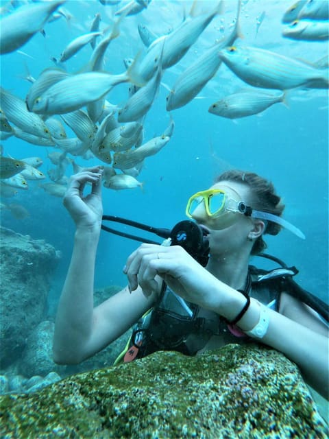 Kemer: Scuba Diving Experience in Aquarium and Kiris Bays - What the $29 price really includes