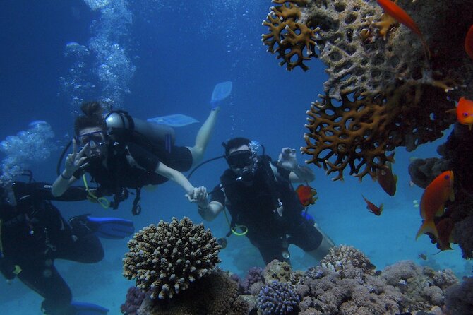 Kemer Scuba Diving Experience: Two Dives with Lunch - Timing, Pickup, and Small Things to Get Right
